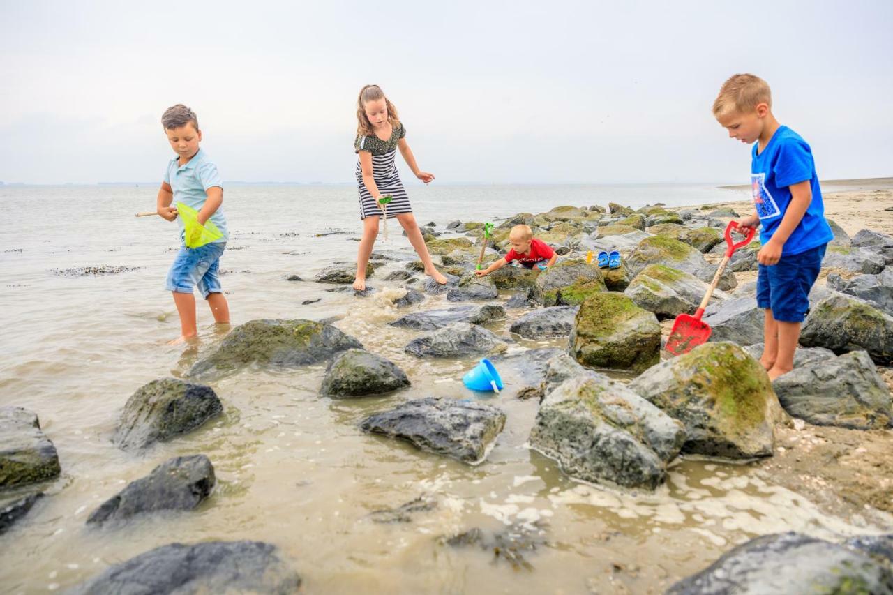Camping Scheldeoord Baarland Exteriör bild