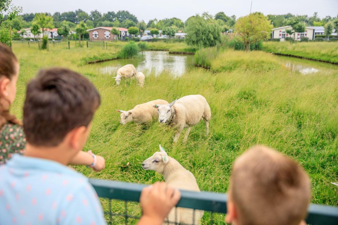 Camping Scheldeoord Baarland Exteriör bild