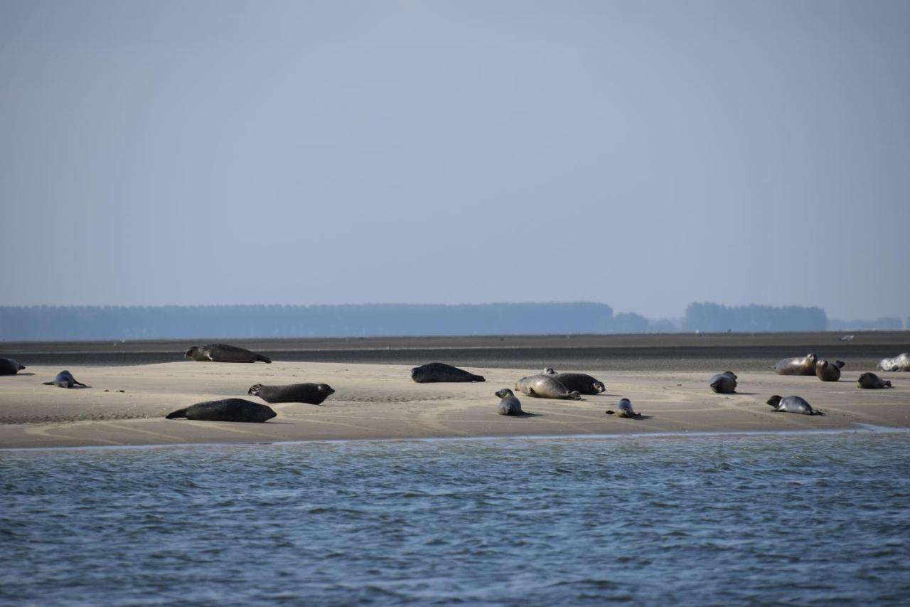 Camping Scheldeoord Baarland Exteriör bild