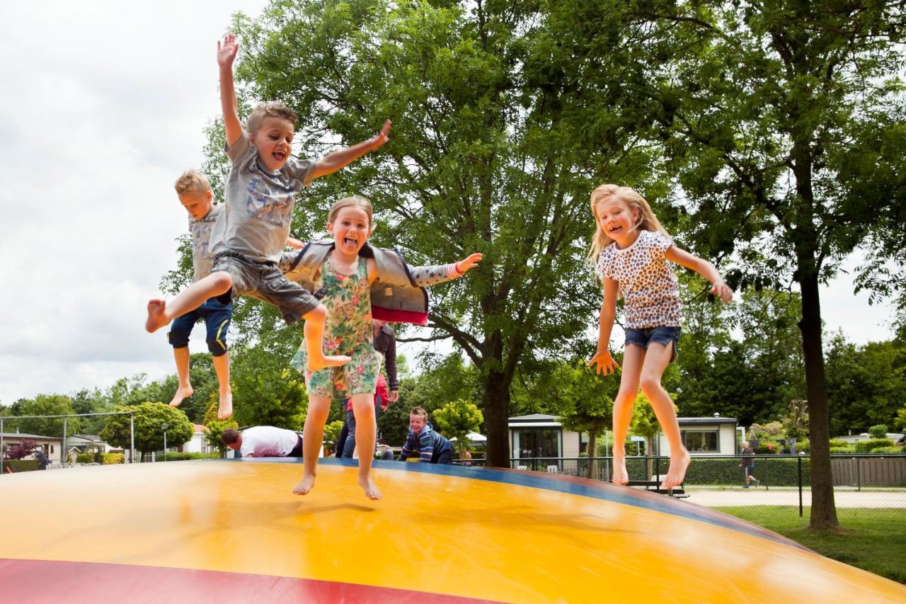 Camping Scheldeoord Baarland Exteriör bild